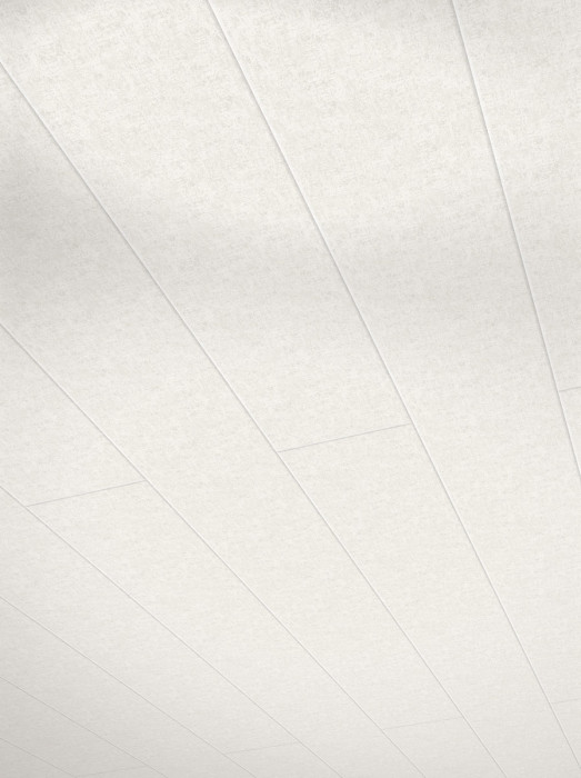 Parador Wand/Decke Dekorpaneele Novara Textura 1250 x 200 main product photo