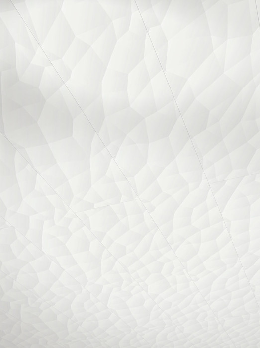 Parador Wand/Decke Dekorpaneele RapidoClick Polygon Grau 2585 x 223 main product photo