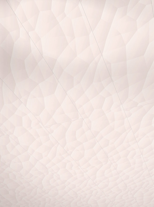 Paneles decorativos para paredes y techos de Parador RapidoClick Polygon powder 2585 x 223 main product photo