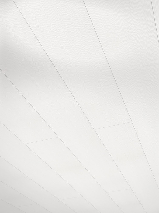 Paneles decorativos para paredes y techos de Parador RapidoClick White Lines 2050 x 223 main product photo