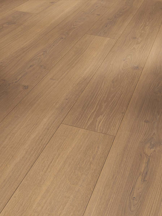 Suelo laminado de Parador Trendtime 6 Iconics Roble Miel Lama 4V main product photo