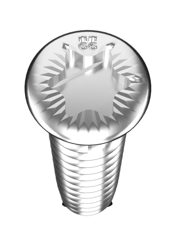 200 x Edelstahlschrauben zur Befestigung des WPC-Clips auf Unterkonstruktion Alu Ansicht 2