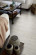 Egger Home Laminat 10/32 Classic Grey Elva Oak EHL145 1-Stab Landhausdiele 4V Raum3 Egger Home Laminat 10/32 Classic Grey Elva Oak EHL145 1-Stab Landhausdiele 4V Raum3