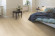 Egger Home Laminat 8/32 Classic White Matera Oak EHL107 1-Stab Landhausdiele Raum5 Egger Home Laminat 8/32 Classic White Matera Oak EHL107 1-Stab Landhausdiele Raum5