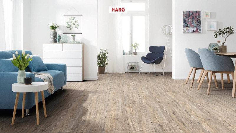 HARO Designboden DISANO ClassicAqua Steineiche creme strukturiert 1-Stab Landhausdiele XL 4V main product photo