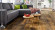 HARO Laminat TRITTY 100 Eiche Altholz Gran Via 4V Strukturiert matt Silent Pro Raum4 HARO Laminat TRITTY 100 Eiche Altholz Gran Via 4V Strukturiert matt Silent Pro Raum4