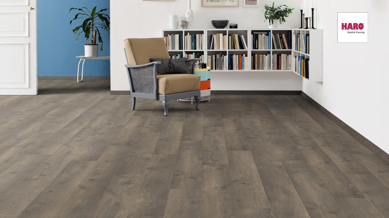 HARO Laminate TRITTY 100 Oak Bergamo Carbon 1-strip 4V main product photo
