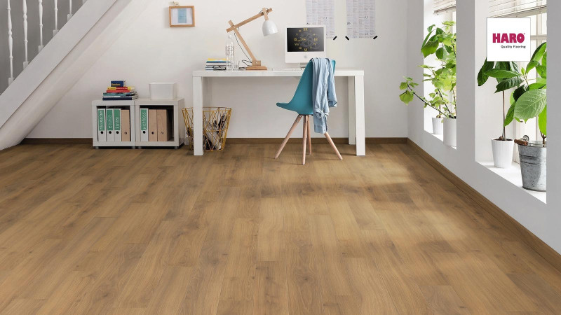 HARO Stratifié TRITTY 100 Chêne Emilia miel Loft 4V authentique soft main product photo