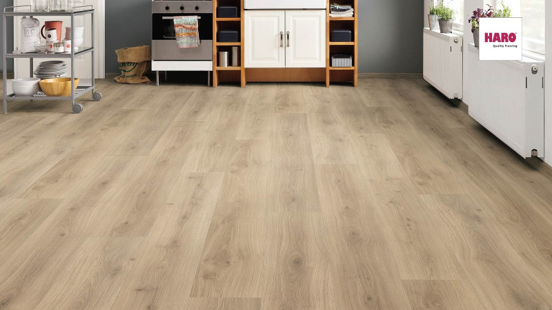 HARO Laminado TRITTY 100 Eiche Emilia puro Gran Via 4V authentic soft Silent CT main product photo