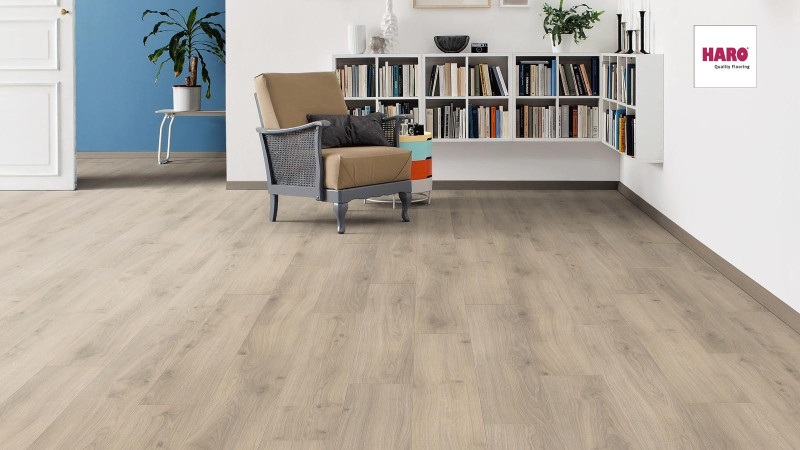 HARO Laminate TRITTY 100 Oak Emilia Velvet Grey 1-strip 4V main product photo