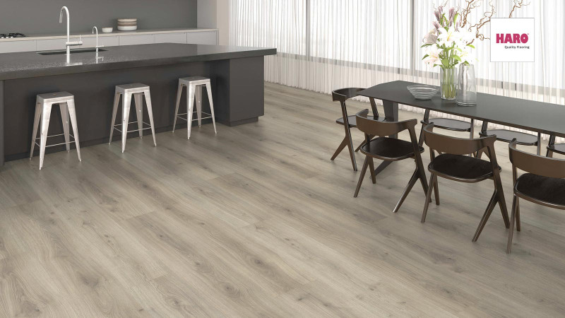 HARO Laminat TRITTY 200 Aqua Eiche Emilia samtgrau Gran Via 4V main product photo