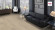 HARO Parkett Professional 4000 Eiche sandgrau Sauvage naturaDur 1-Stab Landhausdiele Maxim 4V Raum2 HARO Parkett Professional 4000 Eiche sandgrau Sauvage naturaDur 1-Stab Landhausdiele Maxim 4V Raum2