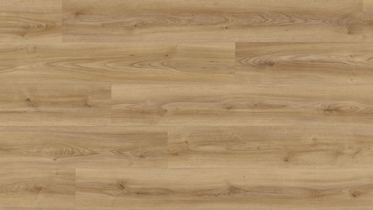 Kings Canyon Bio-Designboden Woodganic Eiche Tolfalas Elegant Natural 1-Stab Landhausdiele 4V Raum1