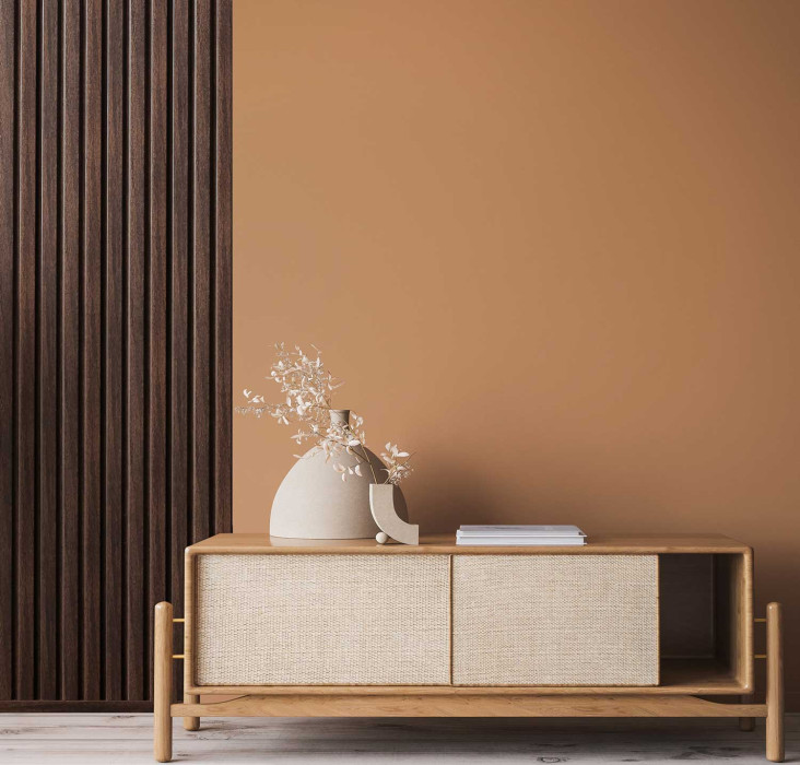 Kings Canyon Panneau décoratif Strong-S Marron Foncé main product photo