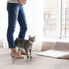 Kings Canyon Suelo vinílico SimpleClick Roble Drava Tablón ancho 4V