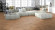 Meister Designboden MeisterDesign. next DD 500 S Stieleiche cognac 6949 1-Stab M4V Raum2 Meister Designboden MeisterDesign. next DD 500 S Stieleiche cognac 6949 1-Stab M4V Raum2