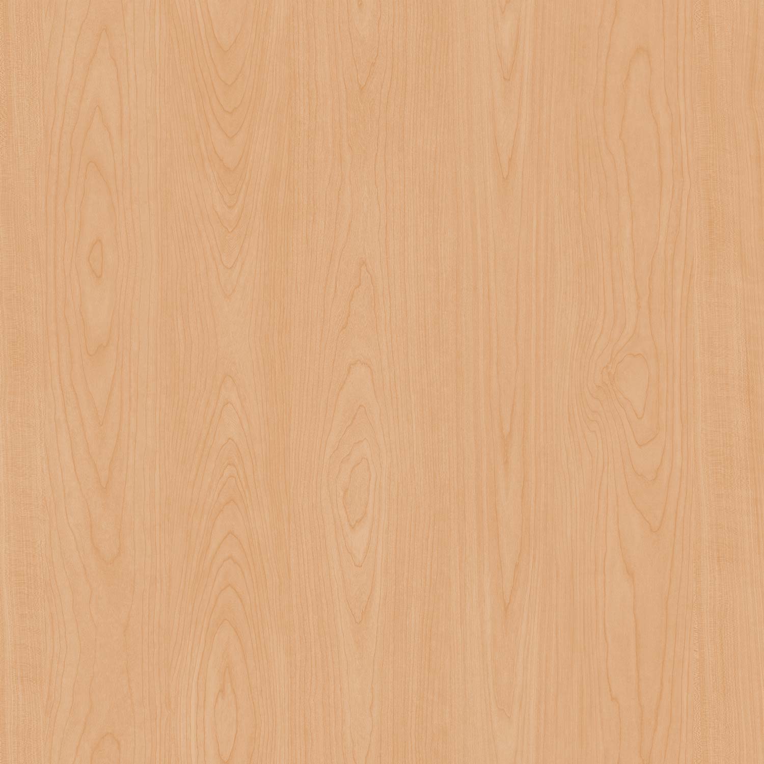 Skaben Bio Design massiv Life 55 Maple Light 1-Stab Landhausdiele zum kleben Raum1