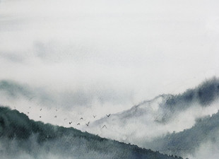 Skaben photo papier peint Mountain - gris / noir | montagnes, oiseaux, nature papier peint