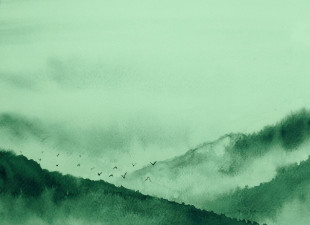 Skaben photo papier peint Mountain - vert / noir | montagnes, oiseaux, nature papier peint