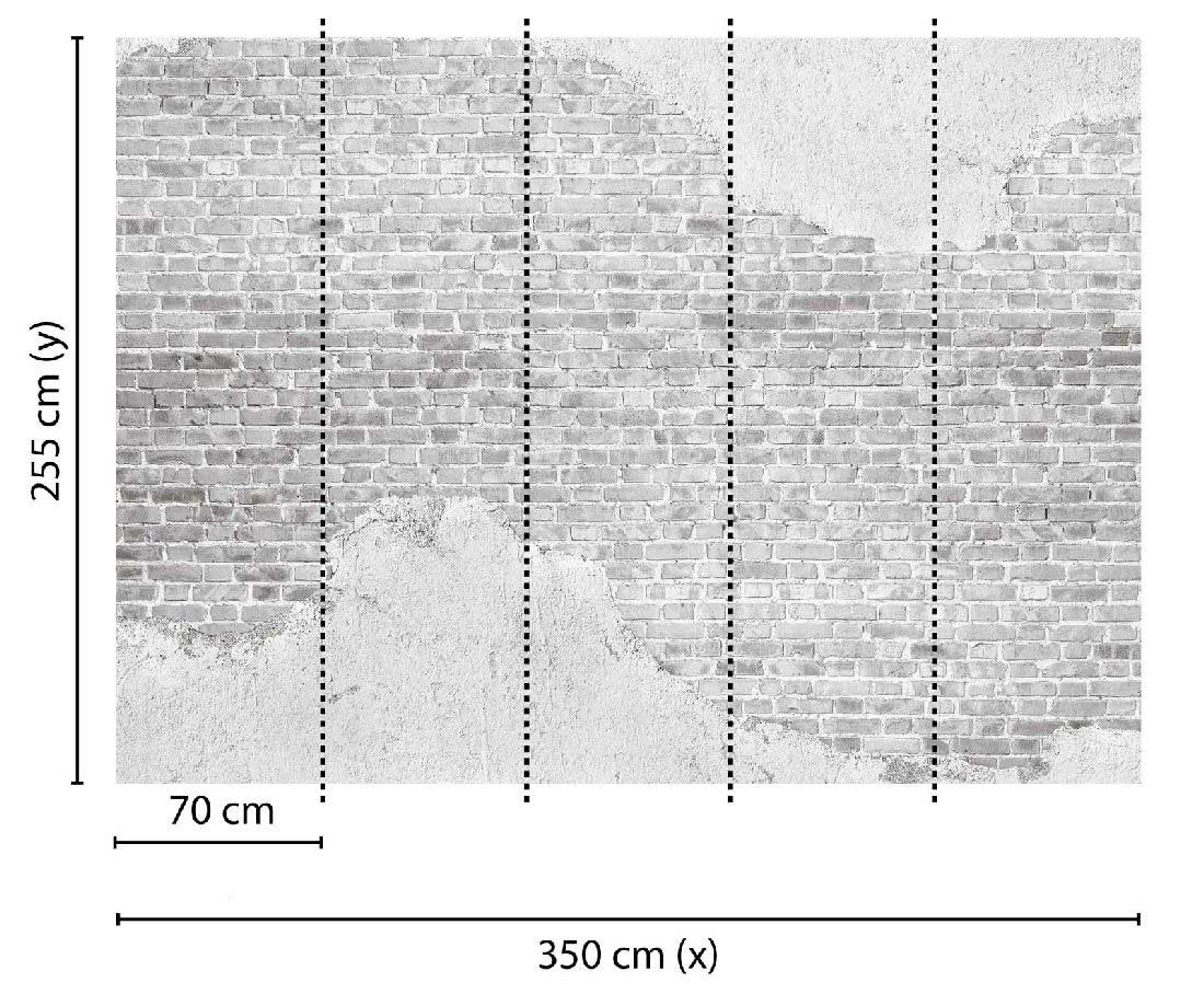 Skaben Fototapete Betonoptik modern Grau Raum2