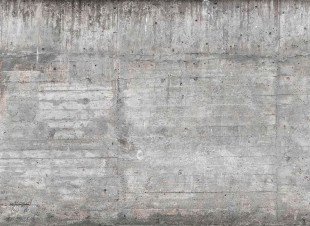 Skaben Fototapete Concrete - Grau / Braun | Betonoptik modern, Tapete