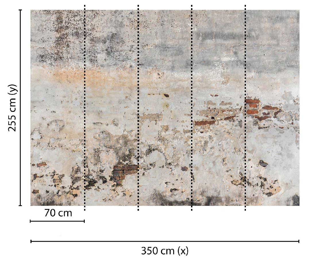 Skaben Fototapete Betonoptik modern Grau / Braun Raum2