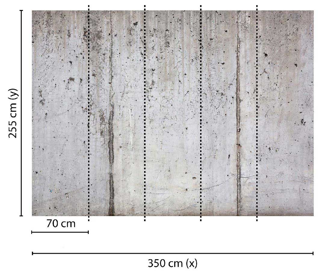 Skaben Fototapete Betonoptik modern Grau / Schwarz Raum2