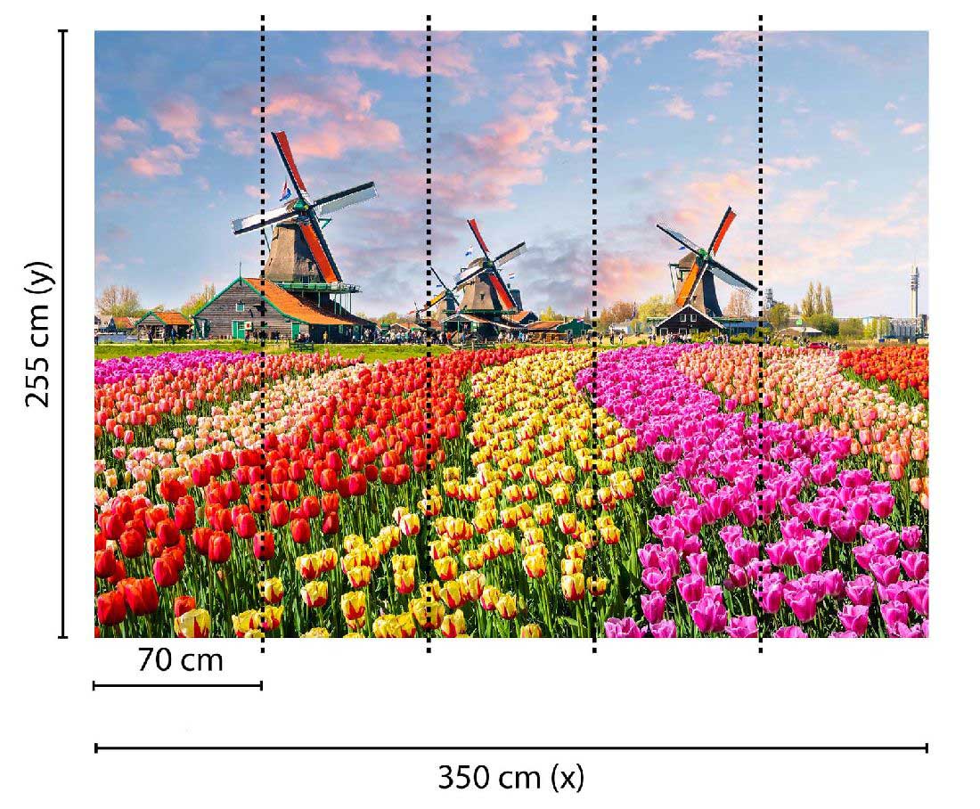 Skaben Fototapete Blumen Landschaft Bunt / Braun Raum2