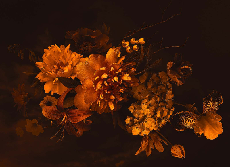 Skaben Fototapete Flowers - Orange / Schwarz | Blumen, Lilie Tapete main product photo