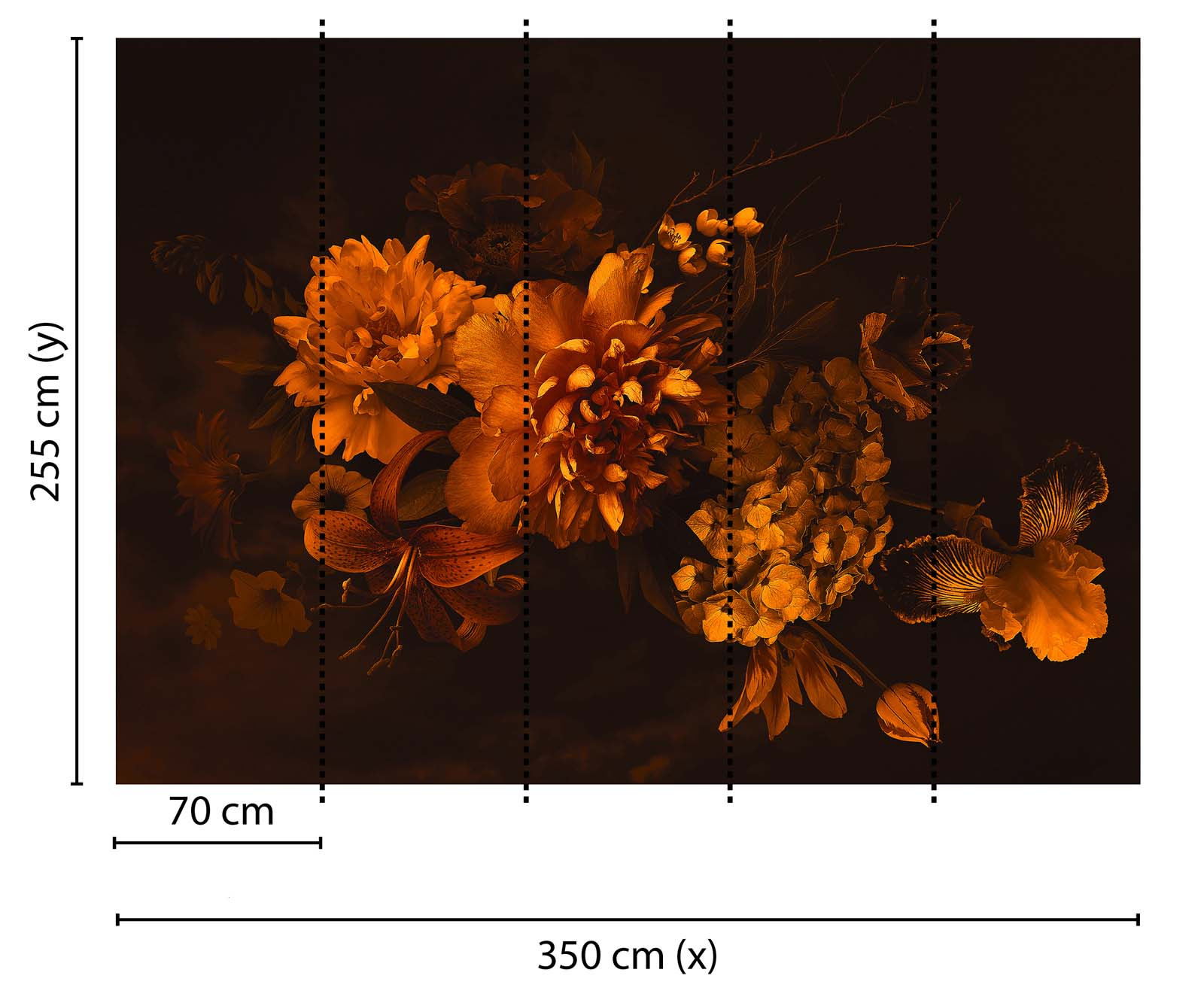 Skaben Fototapete Blumen Lilie Orange / Schwarz Raum2