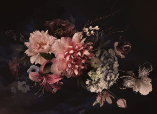 Skaben photo papier peint Flowers - rose / noir | fleurs, lys papier peint