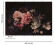 Skaben Fototapete Blumen Lilie Rosa / Schwarz Raum2 Skaben Fototapete Blumen Lilie Rosa / Schwarz Raum2
