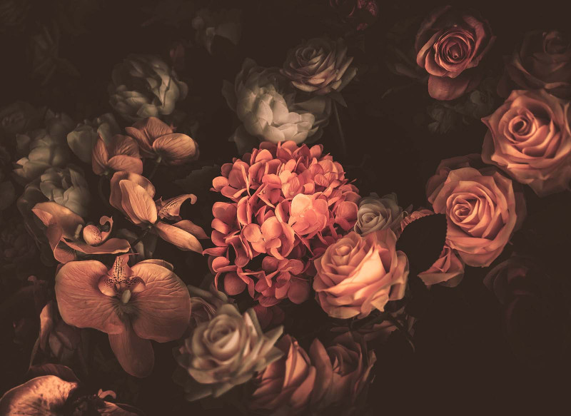 Skaben Fototapete Flowers - Orange / Rosa | Blumen, Rosen Tapete main product photo