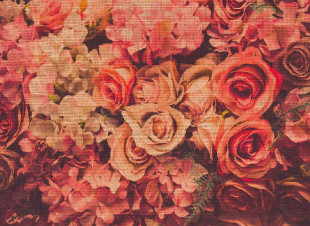 Skaben photo papier peint Flowers - rose / vert | fleurs, roses papier peint