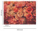 Skaben Fototapete Blumen Rosen Rosa / Grün Raum2 Skaben Fototapete Blumen Rosen Rosa / Grün Raum2