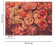 Skaben Fototapete Blumen Rosen Rosa / Grün Raum2