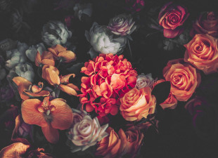 Skaben photo papier peint Flowers - rouge / orange | fleurs, roses papier peint