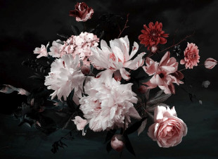 Papel Pintado Skaben Flowers - Blanco / Rosa | Flores, Rosas