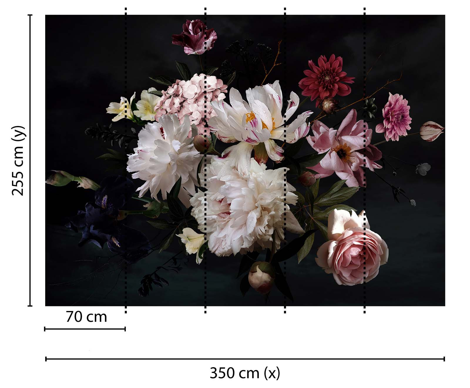 Skaben Fototapete Blumen Rosen Weiß / Rosa Raum2