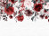 Skaben Fototapete Blumen Rosen Weiß / Rot Raum1