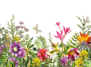 Skaben mural Flowers - colorful / white | flowers, butterfly, nature wallpaper