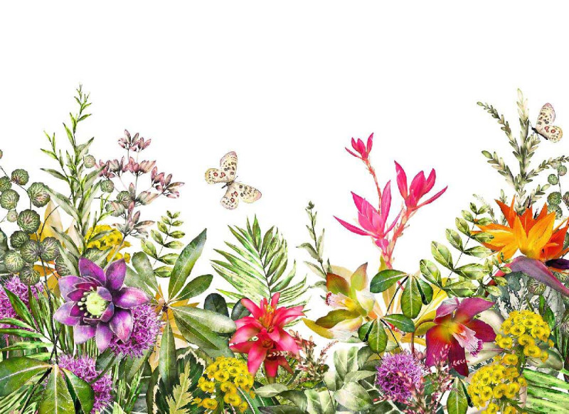 Skaben Wall mural Flowers - Colorful / White | Flowers, Butterfly, Nature Wallpaper main product photo