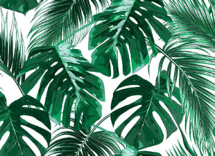 Skaben Fototapete Jungle - Grün / Weiß | Dschungel, Palmen, Tapete