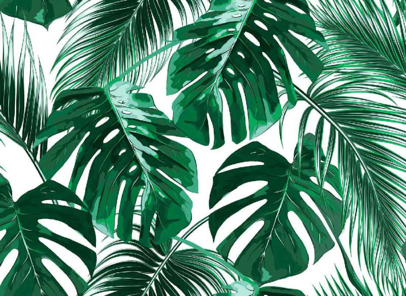 Skaben Papier peint photo Jungle - Vert / Blanc | Jungle, Palmiers, Papier peint main product photo