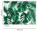 Skaben Fototapete Dschungel Palmen Grün / Weiß Raum2
