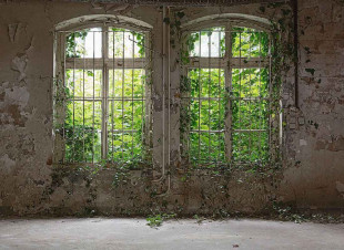 Skaben wallpaper Window - green / gray | window, concrete look, nature wallpaper