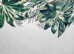 Skaben photo papier peint Palm - bleu / vert | nature, palmiers, jungle papier peint