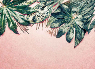 Papel Pintado Skaben Palm - Rosa / Verde | Naturaleza, Palmeras, Jungla