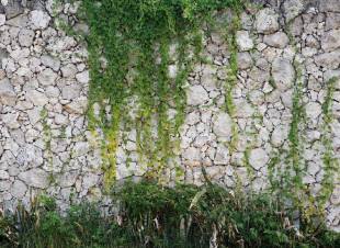 Skaben photo wallpaper Stone - green / gray | stone look, modern, nature wallpaper