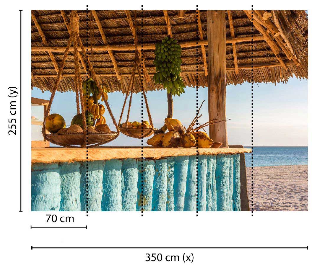 Skaben Fototapete Strand Meer Braun / Blau Raum2